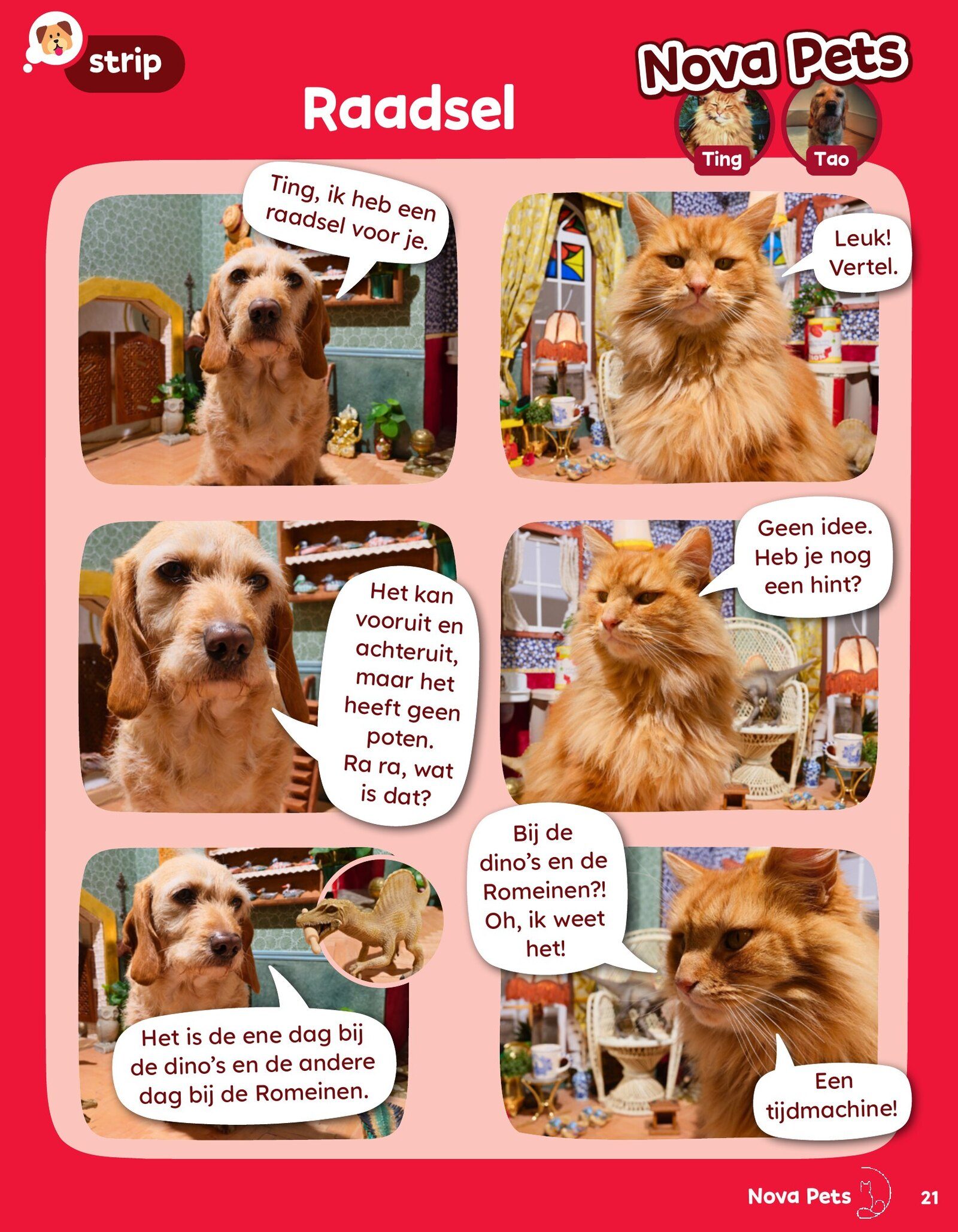 Nova Pets comic 'Riddle' — Tao tells Ting a riddle about a time machine