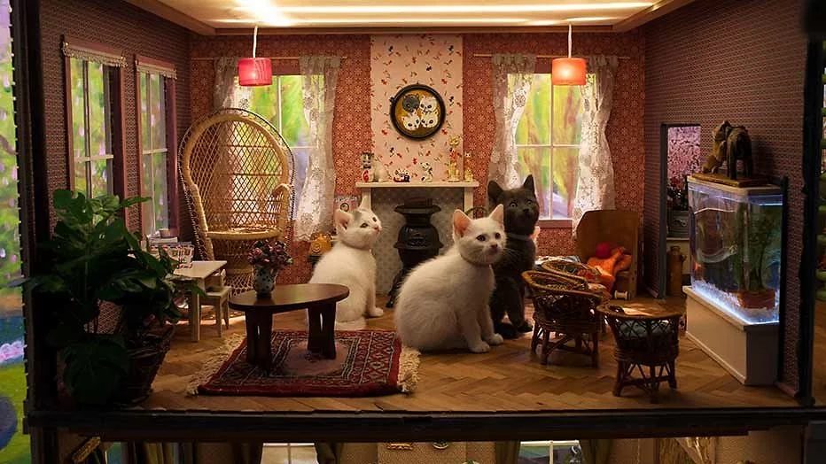 Kittens in the cosy living room of Kattenlaan 9