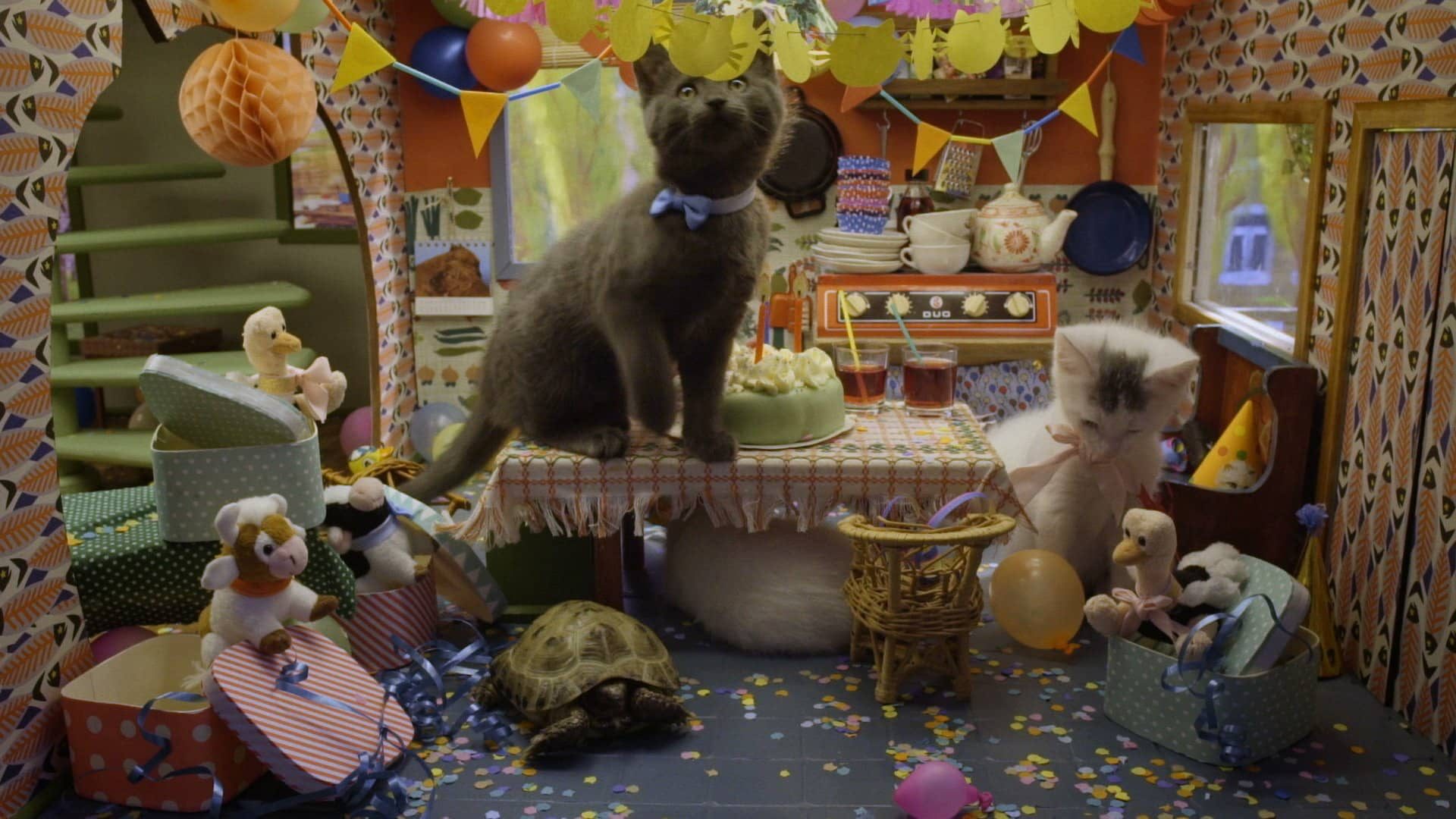 Birthday party in the miniature kitchen with streamers, cake and kittens