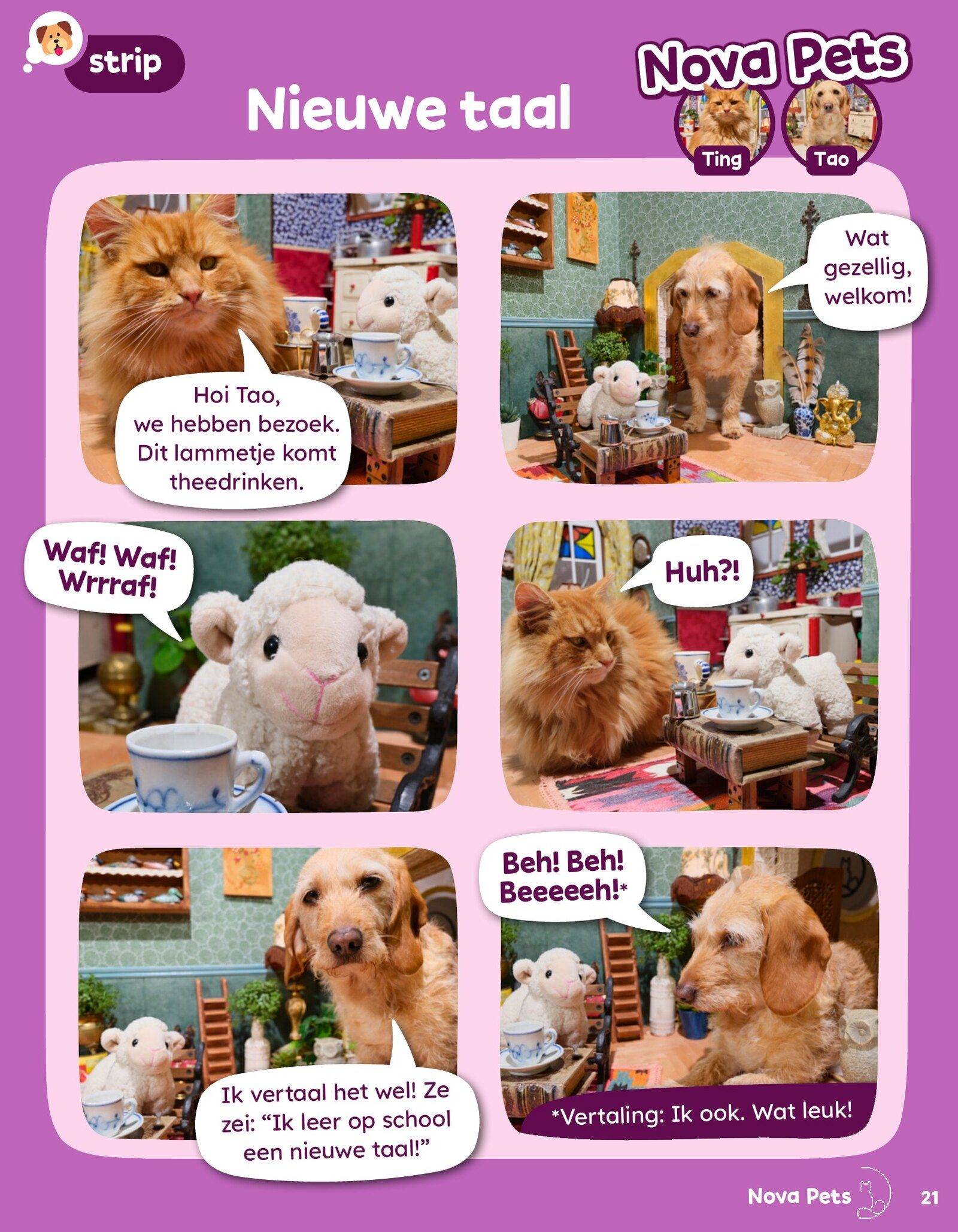 Nova Pets comic 'Off to a show' — Ting and Tao pull a magic trick