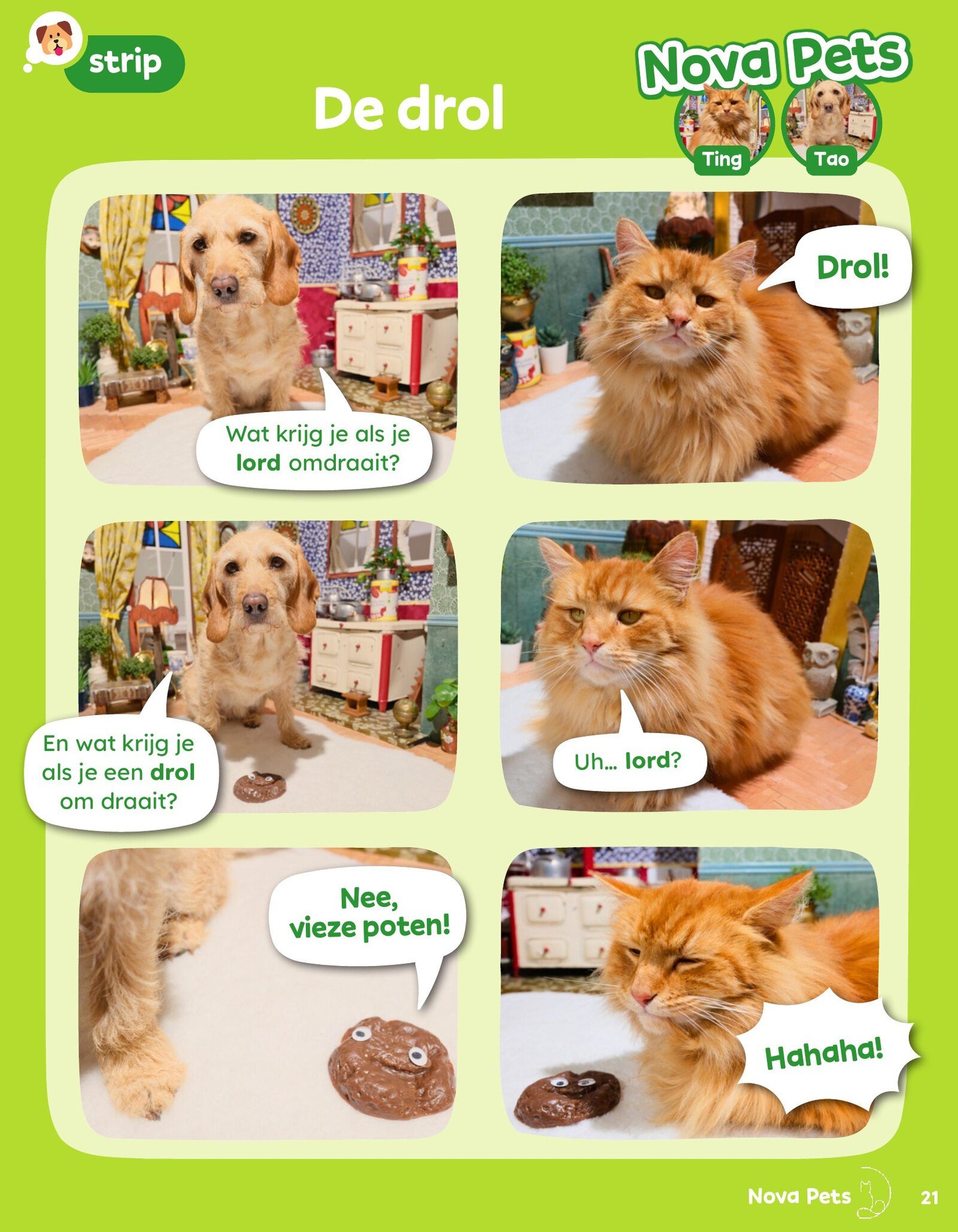 Nova Pets comic 'The poop' — Ting and Tao make a wordplay joke