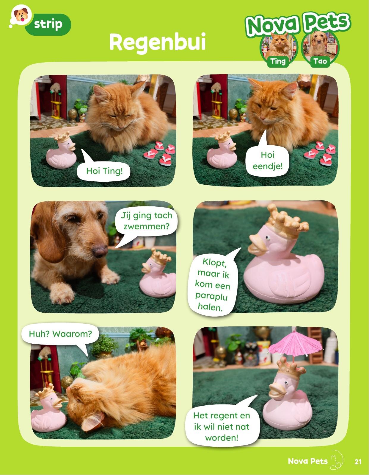 Nova Pets comic 'Regenbui' in OKKI Magazine — Ting and a little duck in the rain