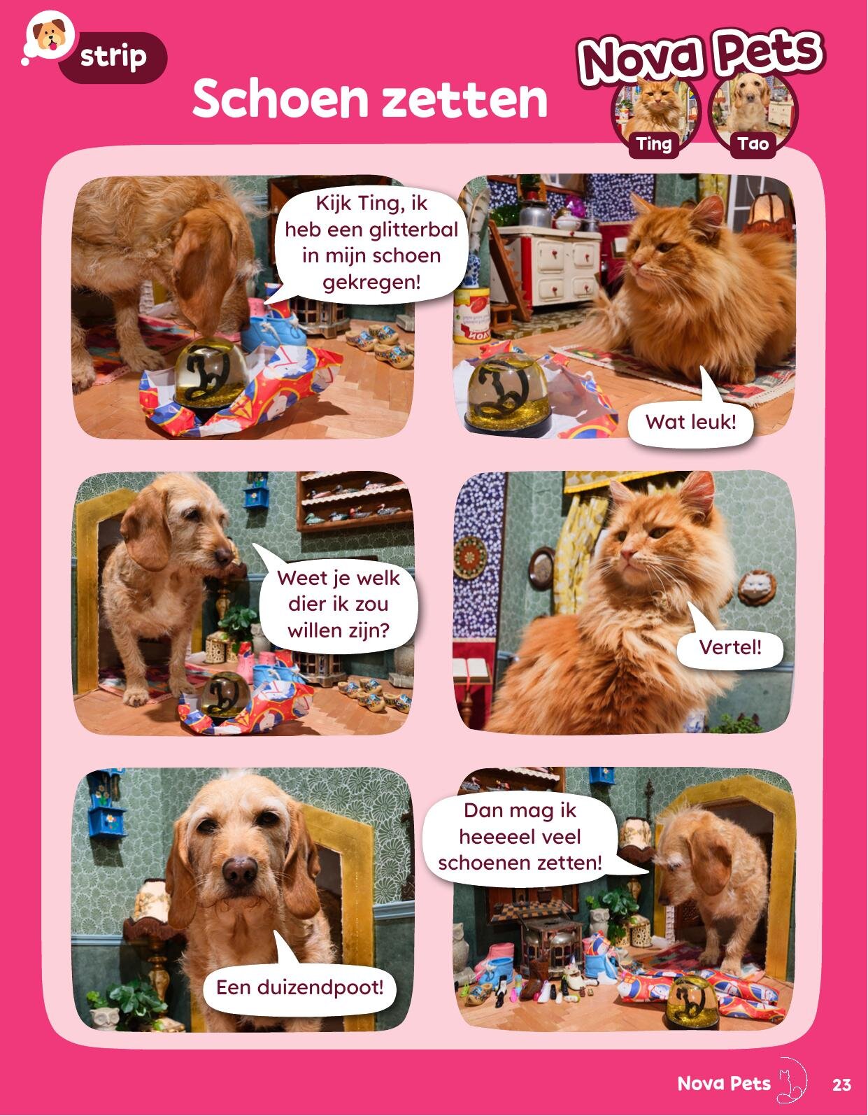 Nova Pets comic 'Schoen zetten' in OKKI Magazine — Tao finds a glitter ball in his shoe
